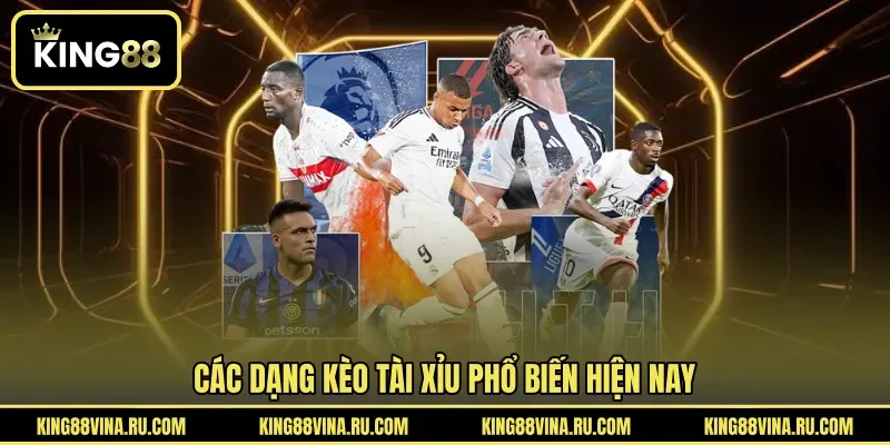 Bóng Rổ Tài Xỉu Là Gì - Cách Đọc Kèo Và Phân Tích Hiệu Quả