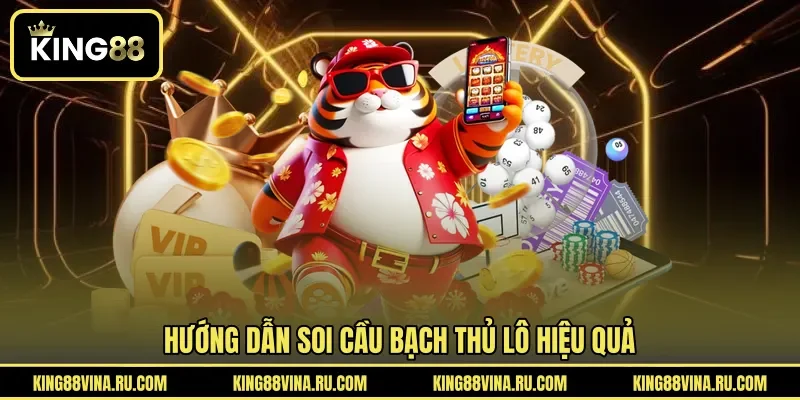 Soi Cầu Bạch Thủ Lô - Phương Pháp Phân Tích Số Được Quan Tâm