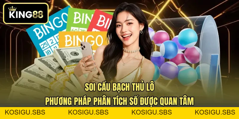 Soi Cầu Bạch Thủ Lô - Phương Pháp Phân Tích Số Được Quan Tâm